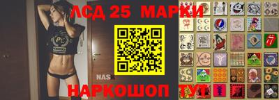 гидра Краснодар