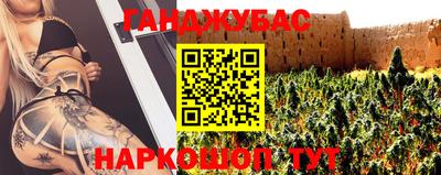 гидра Краснодар