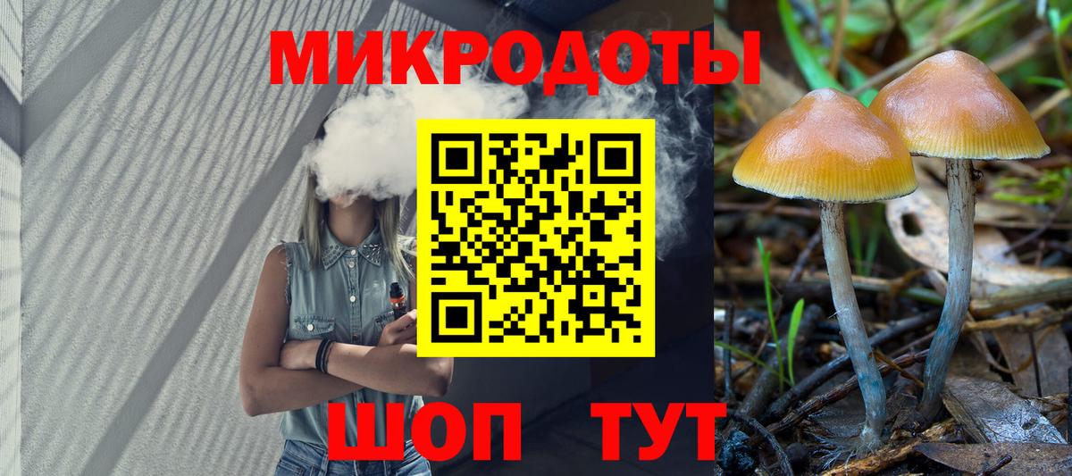 Камышлов  Псилоцибиновые грибы Cubensis  Вход с VPN 